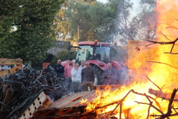 Les vignerons brûlent d'impatience pour l’exonération de taxe foncière