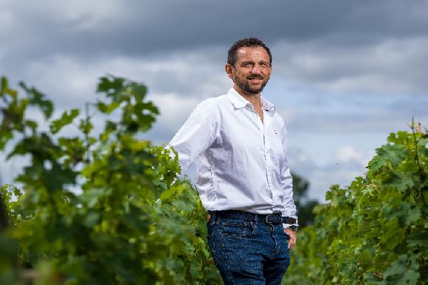 Prévisions de fertilité des vignes : 'à la taille on a laissé 7 bourgeons/cep au lieu de 6 sinon on perdait 15 % de rendement avant même de commencer la saison' 