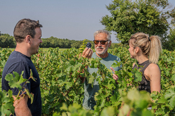 Reprise collective d’un vignoble bio en Charente-Maritime