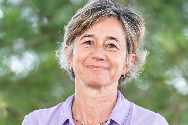 Clivant, l’agrivoltaïsme se défend agronomiquement avec une 'production équivalente entre vignes irriguées et vignes non irriguées sous panneaux'