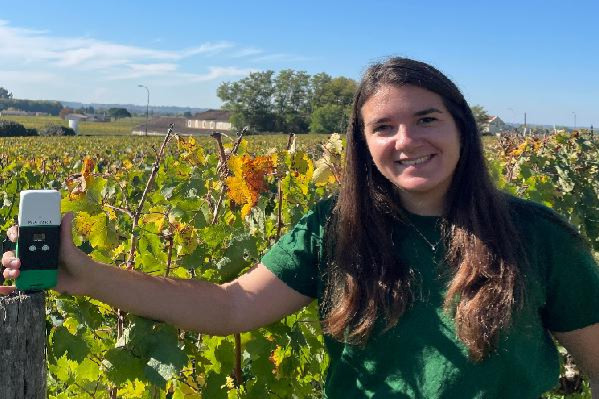 'Un outil de traçabilité redoutable' PinPoint repère en un clic les ceps de vigne malades ou manquants