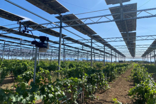 Panneaux solaires interdits pour les vignes AOC Côtes-du-Rhône