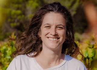 Les vins à petits prix rentables si l'on a des rendements élevés et des surfaces importantes