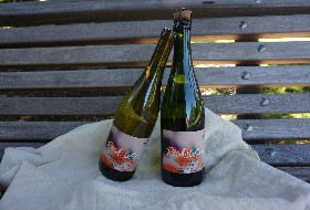 Désalcooliser des vins sans déséquilibrer son bilan carbone : l'engagement d'Ethic Drinks