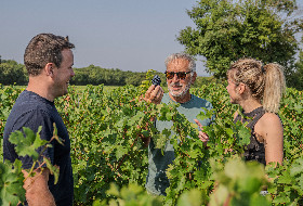 Reprise collective d’un vignoble bio en Charente-Maritime