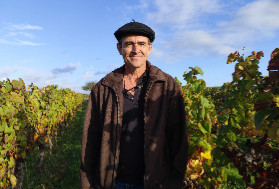 'C'est très bon. Mais on aurait aimé en avoir plus', pour les vendanges 2025 à Cahors