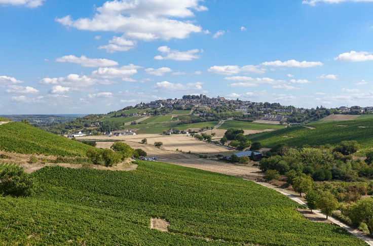 Les vins de Sancerre gagnent en volume et en sérénité ce millésime 2022