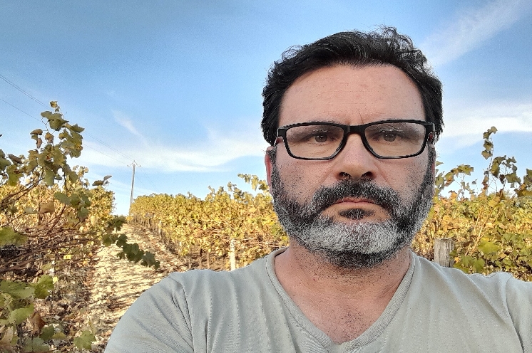  Ces viticulteurs obtiennent des rendements XXL en IGP