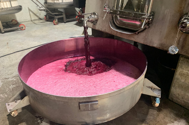 France ranks world champion for growth in wine production in 2022  
