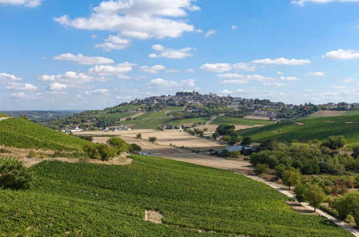 Sancerre gains volumes and peace of mind in 2022 Sancerre gains volumes and peace of mind in 2022
