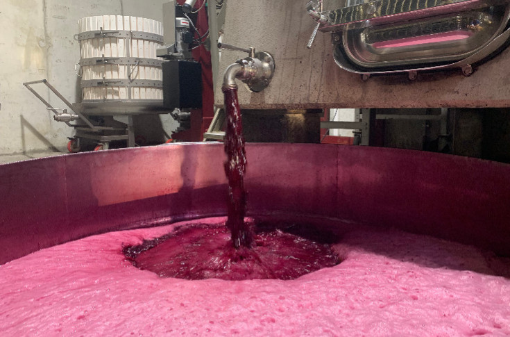 Les Côtes-du-Rhône veulent arracher et distiller les vignes et vins en surplus