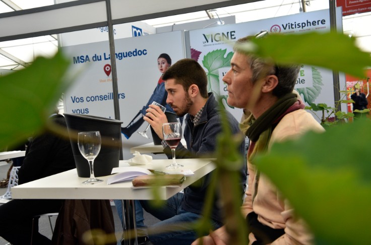 Quand des cépages corses, espagnols, grecs... séduisent des viticulteurs languedociens