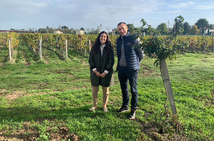Même à Pomerol, la biodiversité l’emporte sur la 