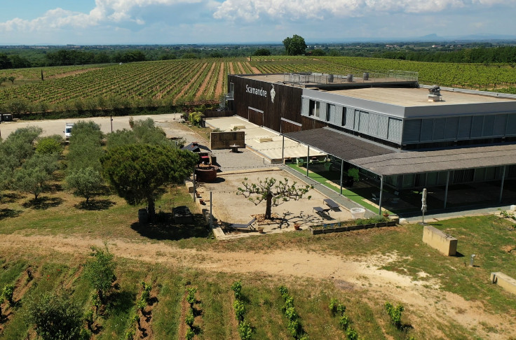 Pourquoi ce domaine sort définitivement des vins d'appellation