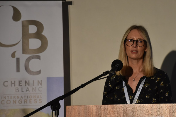 La fin de l’irrigation testée dans les vignes sud-africaines