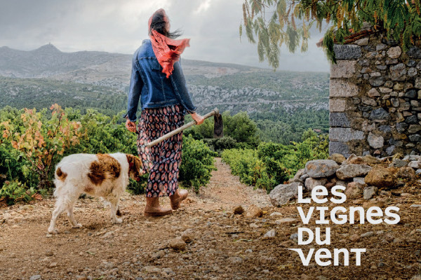 Penfolds inspire les vins du Roussillon   