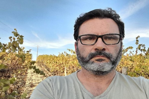  Ces viticulteurs obtiennent des rendements XXL en IGP