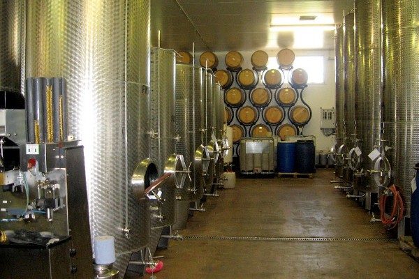 Le point sur les défis du millésime 2022 dans les chais