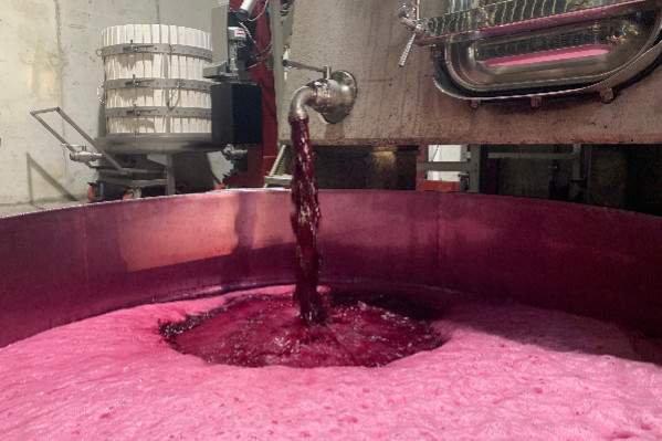 Les Côtes-du-Rhône veulent arracher et distiller les vignes et vins en surplus