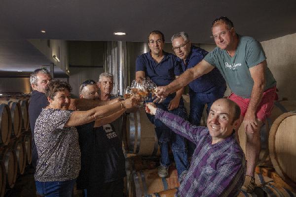  En Languedoc, les ventes de vins en vrac démarrent lentement, sauf pour les blancs