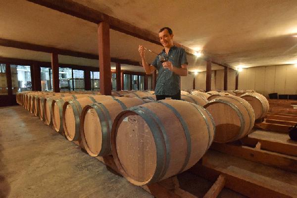  Une explosion des arômes pour les vins sans soufre