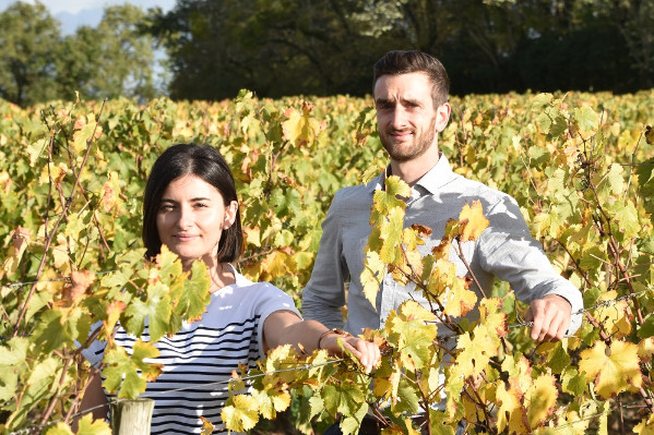 Moins de mixité et plus de spécialité pour le vignoble IGP Val de Loire