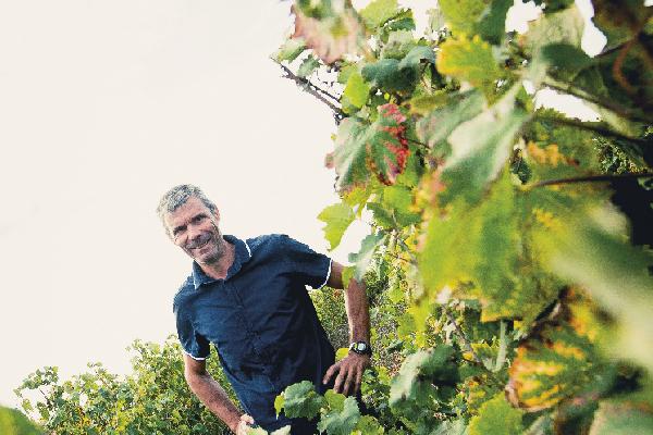  Dans le Languedoc, les producteurs de vins bios à la recherche de débouchés