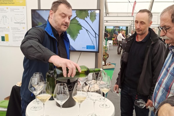 Carton plein pour les vins issus de vignes sous panneaux solaires