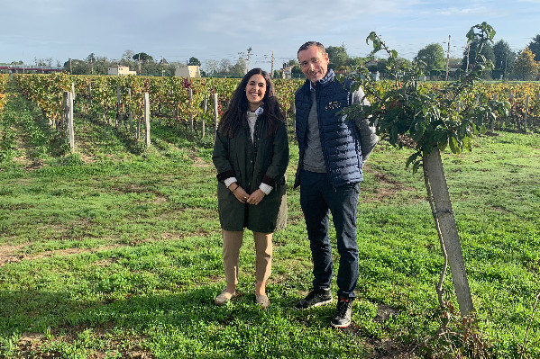Même à Pomerol, la biodiversité l’emporte sur la 'logique de mettre de la vigne partout où c’est possible'