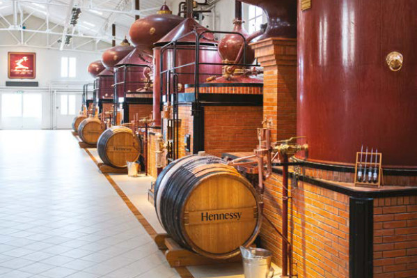 Comment les cognacs Hennessy veulent réduire de 50 % leurs d’émissions de CO₂ d’ici 2030