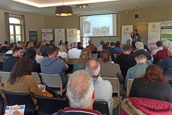 Quels cépages pour le vignoble de Provence de demain ?