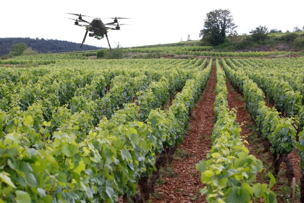 Les drones Scanopy lévent 610 000 € pour cartographier les vignobles français