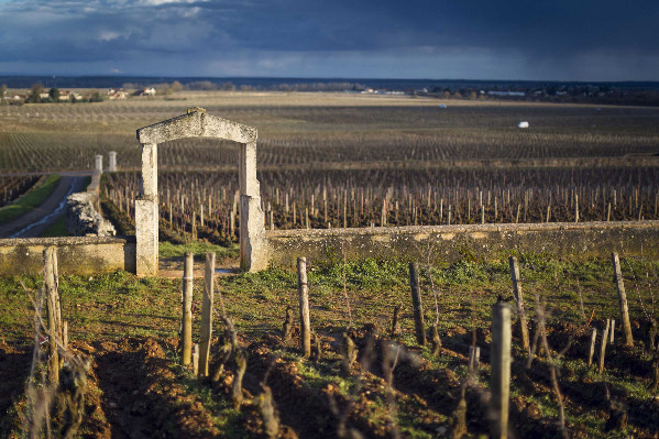 Les grands crus de Bourgogne plient le match contre ceux de Bordeaux