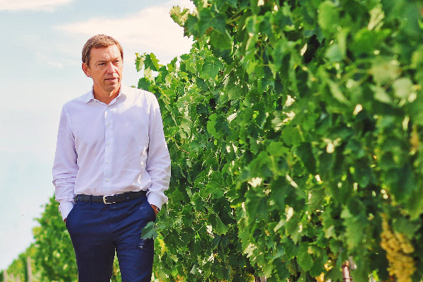 Rémy Martin embarque ses viticulteurs dans l’agroécologie