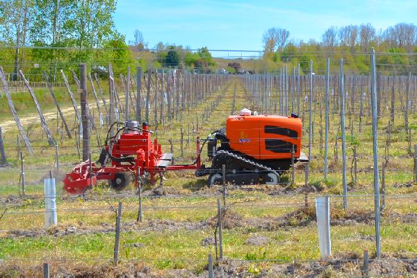  Ceol, un robot chenillard prometteur pour l'entretien des vignes