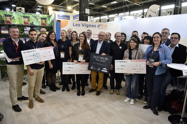 5 bonnes pratiques et idées pour innover dans ses vignes, chais et ventes