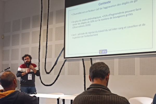 Le travail du sol augmente considérablement le risque de gel