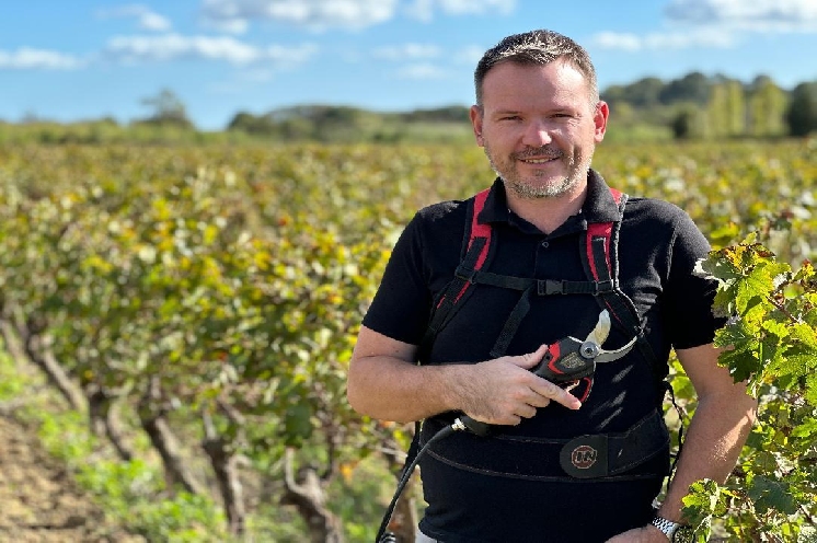 Quel est votre sécateur préféré pour tailler les vignes ? Ces vignerons  expliquent leur choix