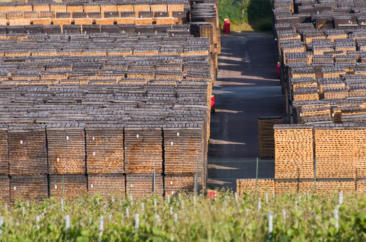 Les mérandiers veulent mieux collaborer avec les autres acteurs de la filière bois