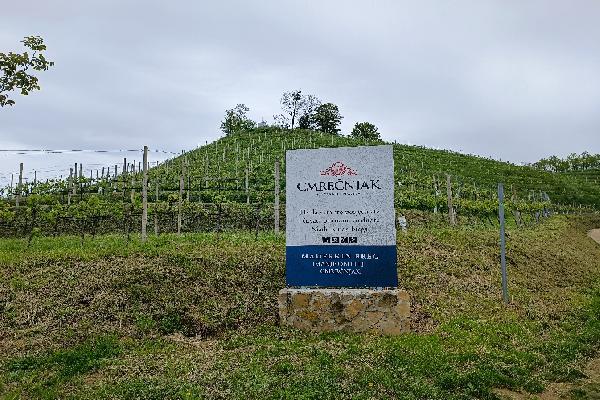 En Croatie, le vignoble de Međimurje, l’autre Entre-Deux-Mers