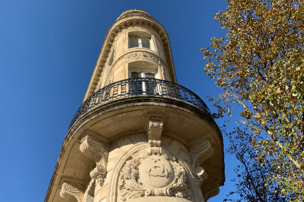 '30 à 40 000 ha de vignes pourraient disparaître d'ici 5 ans' à Bordeaux
