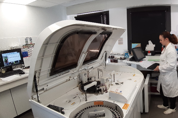 Le Conseil d’État rembarre FranceAgriMer et ouvre à l’ICV les aides à l’investissement vitivinicole