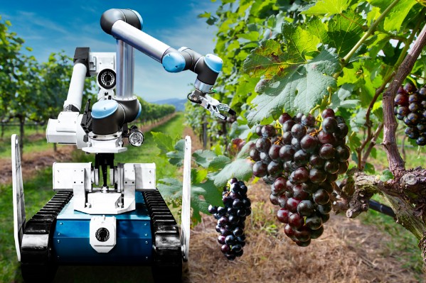 Des milliers d'€ d'aides pour tester des solutions robotiques au vignoble ou à la cave