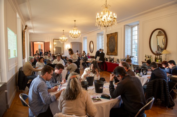 Des cépages peu gourmands en eau séduisent les vignerons de l’Hérault
