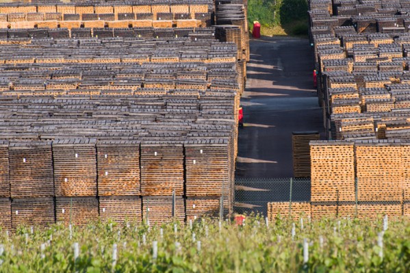 Les mérandiers veulent mieux collaborer avec les autres acteurs de la filière bois
