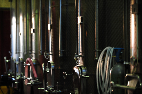 Le fonds d’urgence de 20 millions € ouvert à TOUS les vignerons en difficulté économique