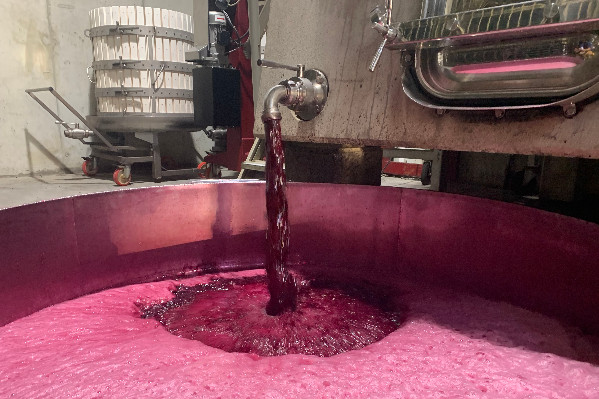 Les vins bio de Bordeaux sont encore plus en vrac que les conventionnels