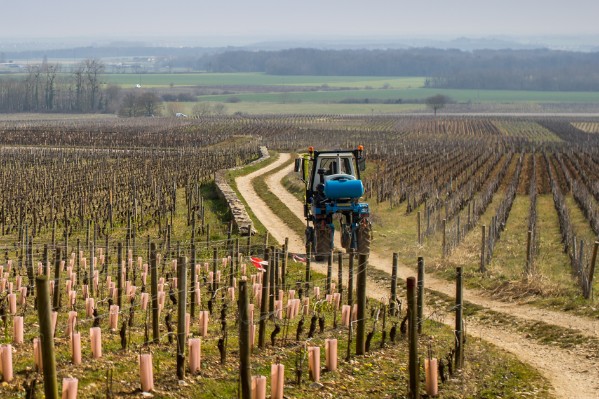 Les ventes de matériel vitivinicole dégringolent en 2023