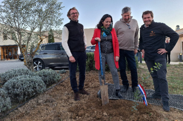 Recherche vignerons pour cultiver de la truffe