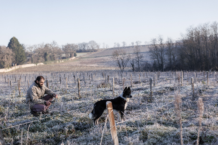 La Cuma, une bonne option pour réduire les coûts du matériel pour les vignerons qui s'installent